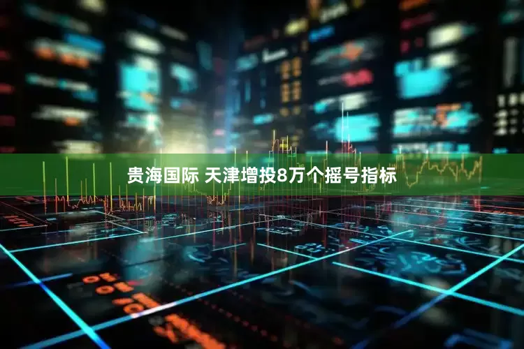贵海国际 天津增投8万个摇号指标