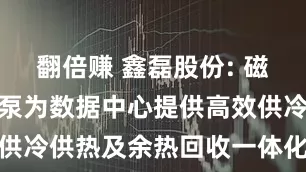 翻倍赚 鑫磊股份: 磁悬浮离心热泵为数据中心提供高效供冷供热及余热回收一体化解决方案