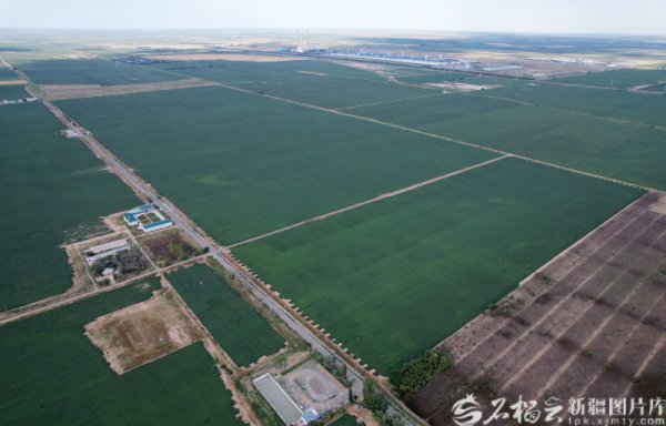 天源国际 辉煌70年 奋进新征程丨智慧棉田