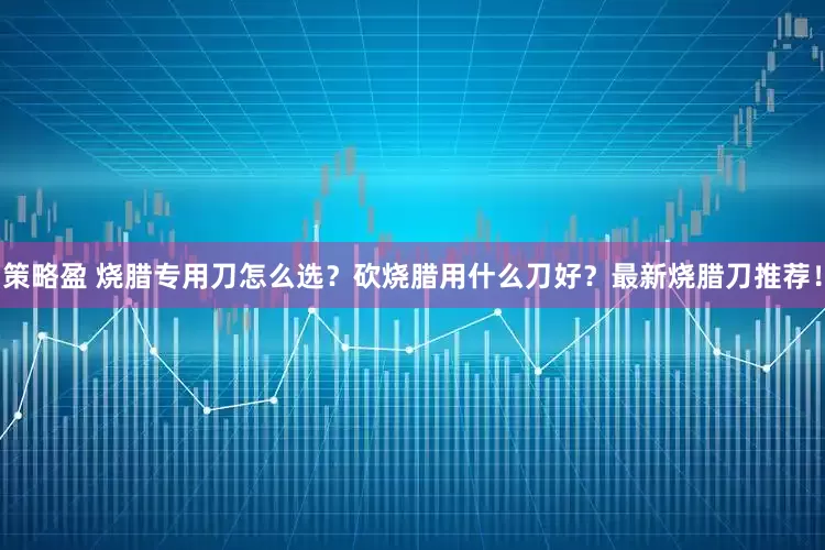 策略盈 烧腊专用刀怎么选？砍烧腊用什么刀好？最新烧腊刀推荐！